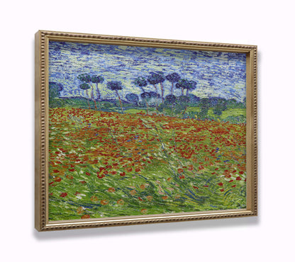 Poppy Field