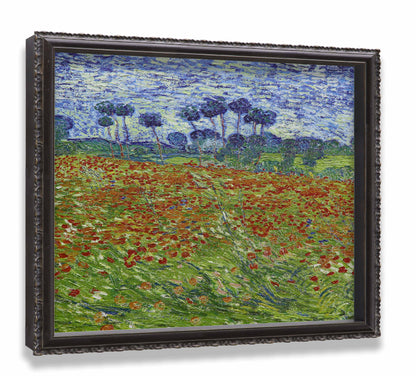 Poppy Field