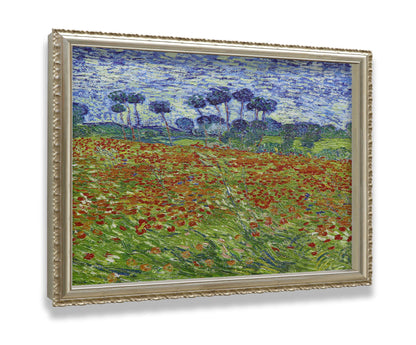 Poppy Field