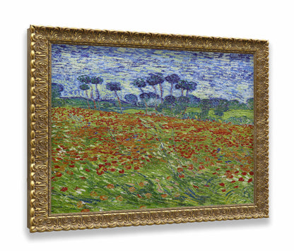 Poppy Field