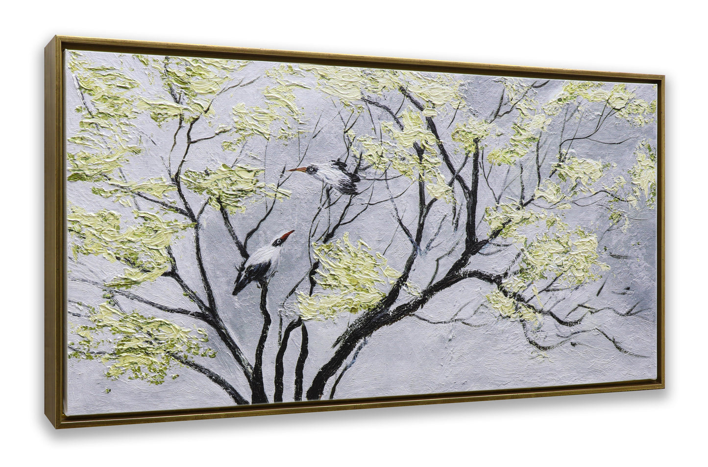 Black & White Birds on Tree