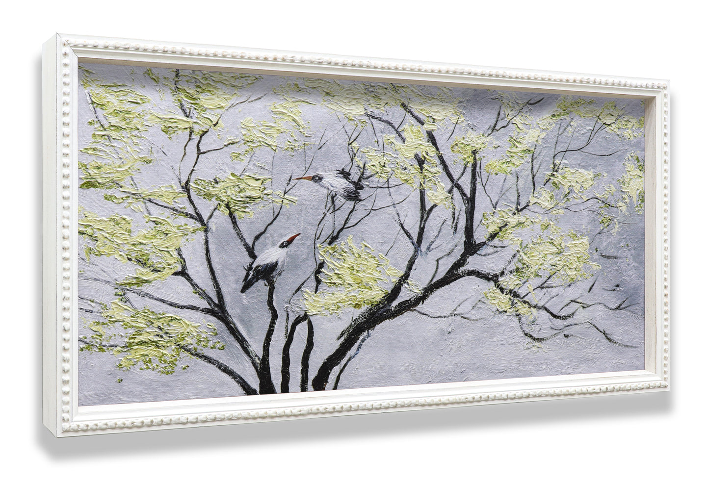 Black & White Birds on Tree
