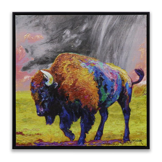 American Bison