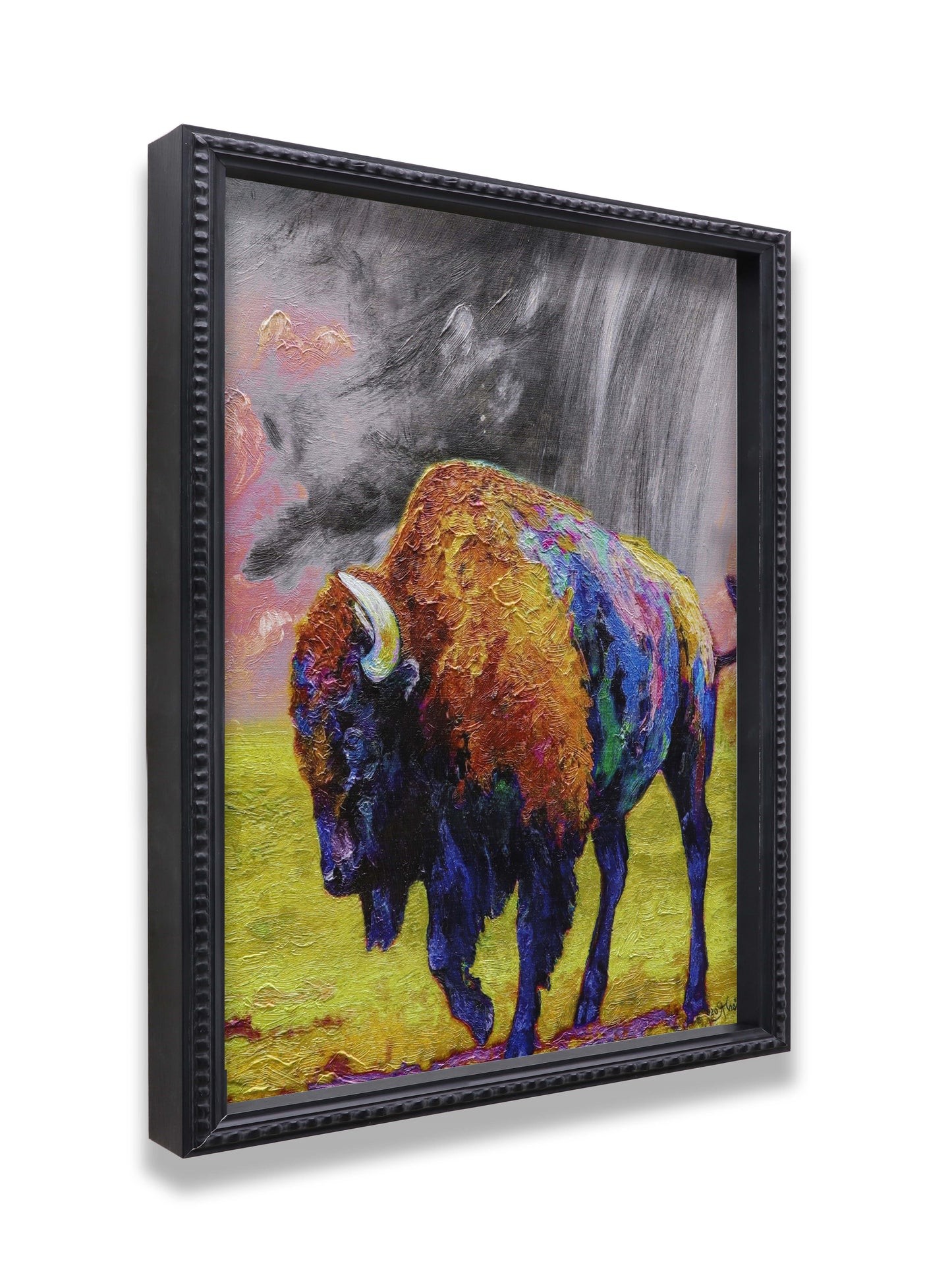 American Bison