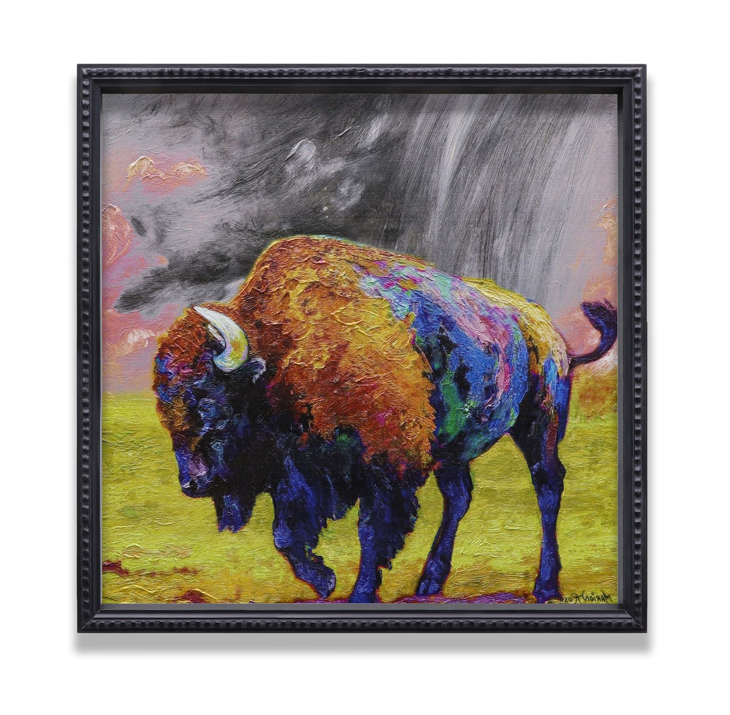American Bison