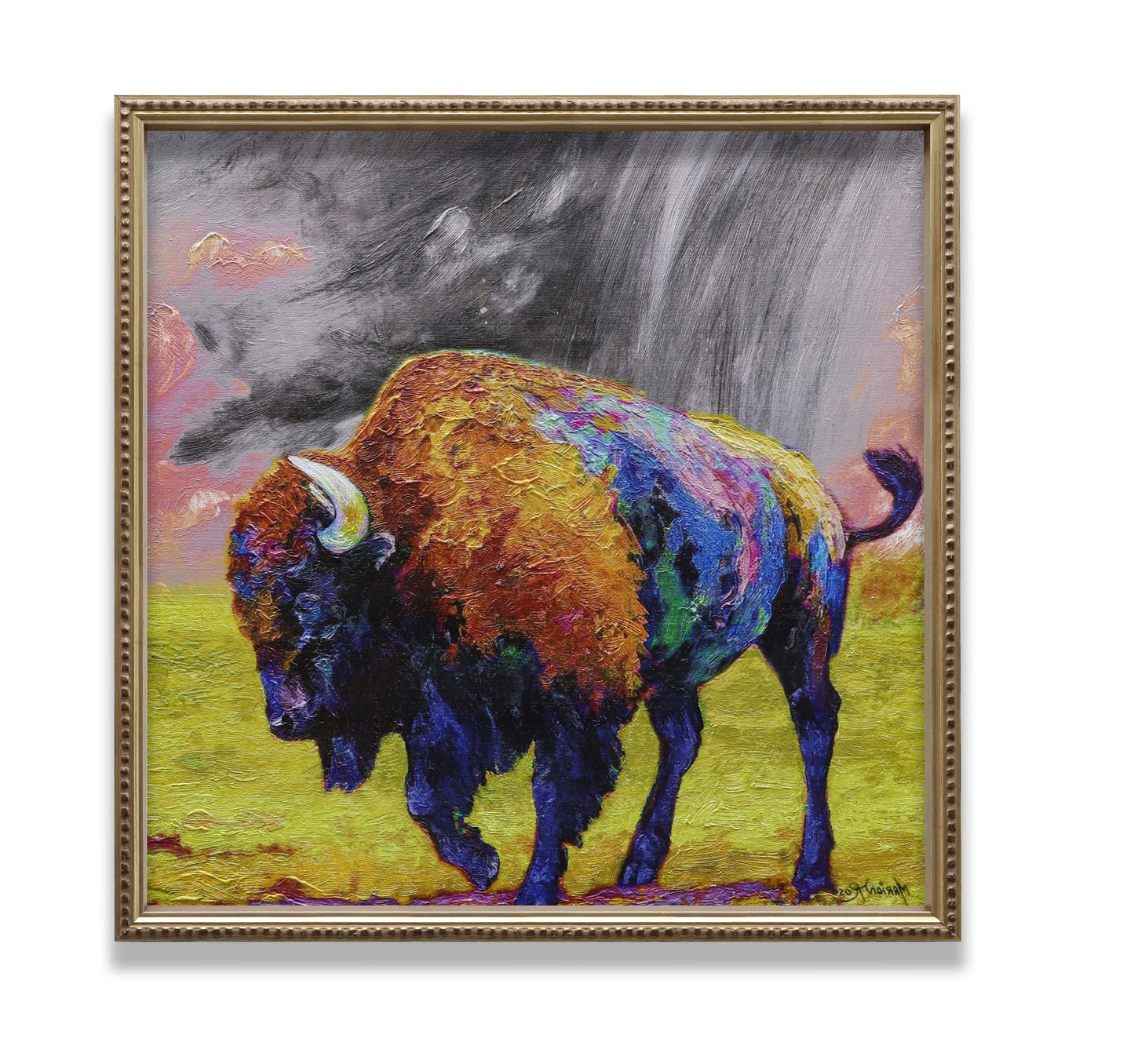 American Bison