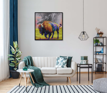 American Bison