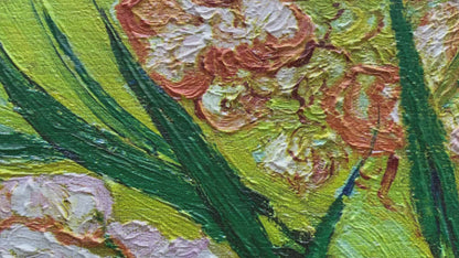 Oleanders