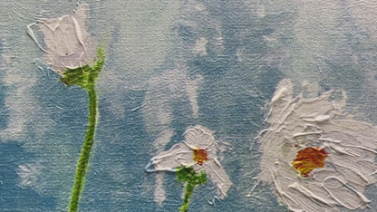 Daisies Field