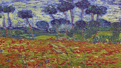 Poppy Field